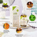 Rosemary Hair Growth Scalp Treatment Oil